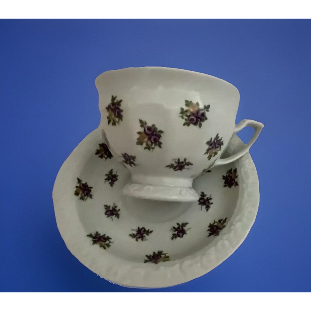 Rosenthal Group Cup & Saucer Set Classic Rose‎ Germany Bone China Floral Vintage